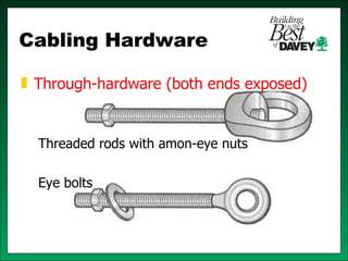 Isa training tree risk assessment & cabling bracing