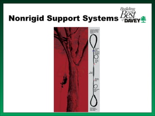 Isa training tree risk assessment & cabling bracing | PPT