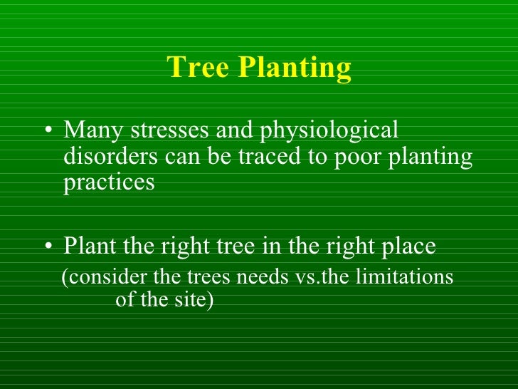 Isa tree planting