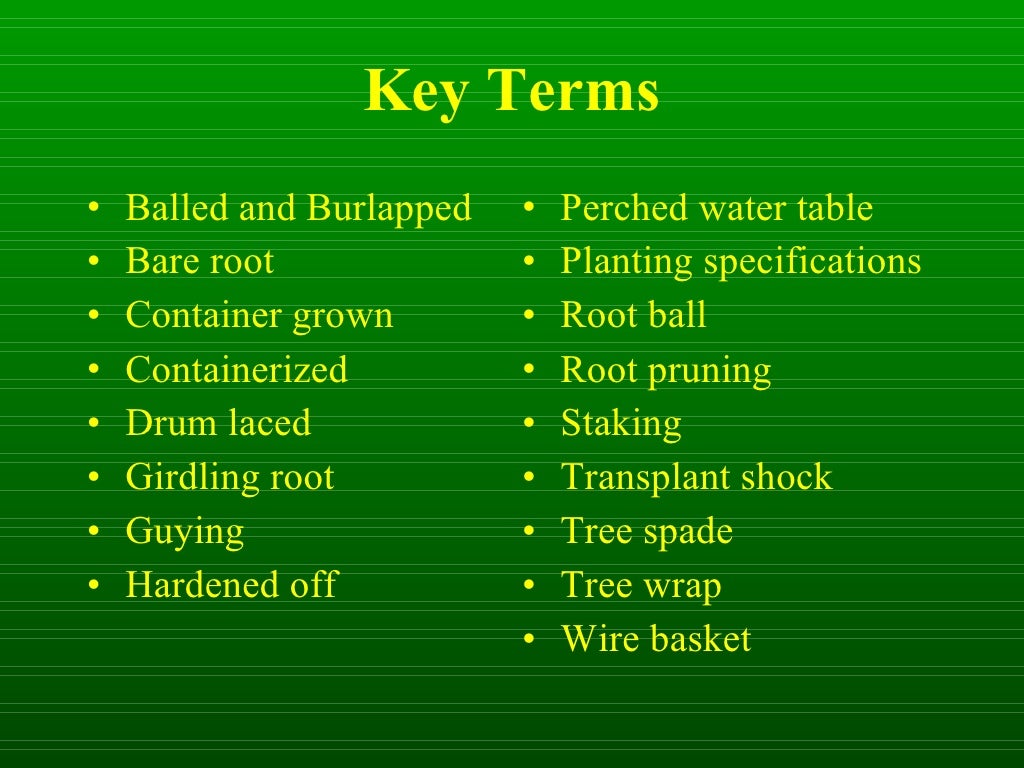 Isa Tree Lean Image Isa Tree Rating System _ An Introduction to Tree Appraisal – LJPRRC