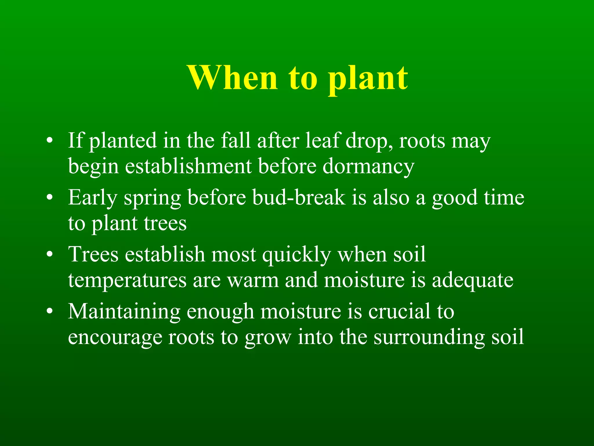 When to plant If planted in the fall after leaf drop, roots may begin establishment before dormancy Early spring before bud-break is also a good time to plant trees Trees establish most quickly when soil temperatures are warm and moisture is adequate Maintaining enough moisture is crucial to encourage roots to grow into the surrounding soil 
