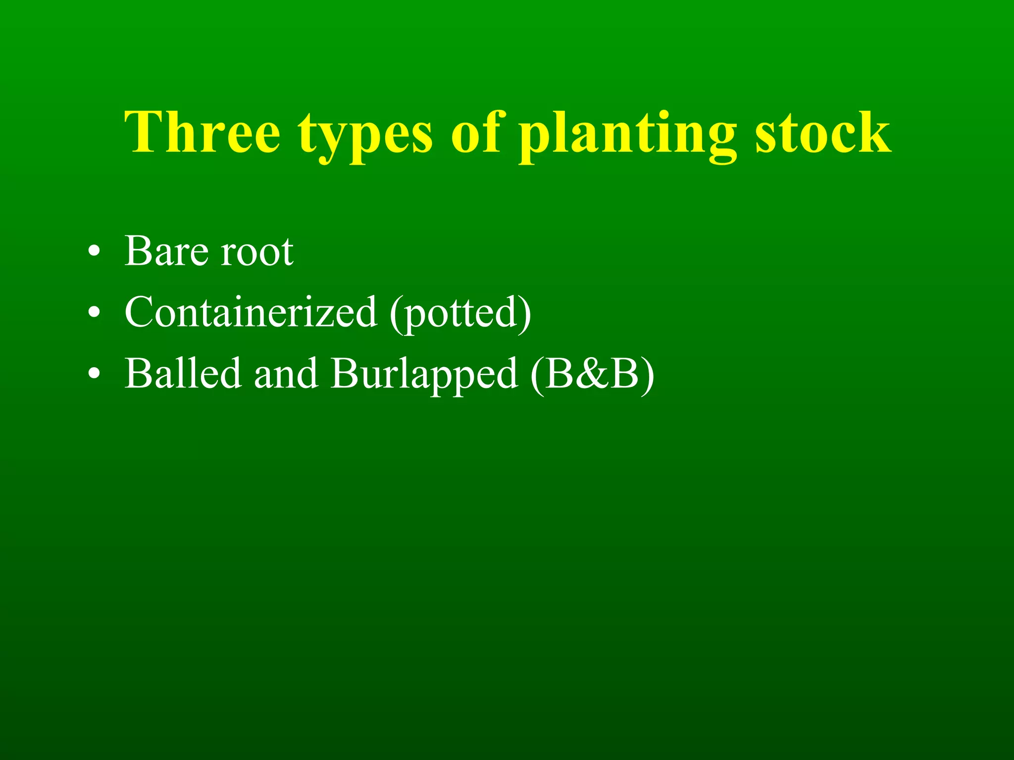 Three types of planting stock Bare root Containerized (potted) Balled and Burlapped (B&B) 
