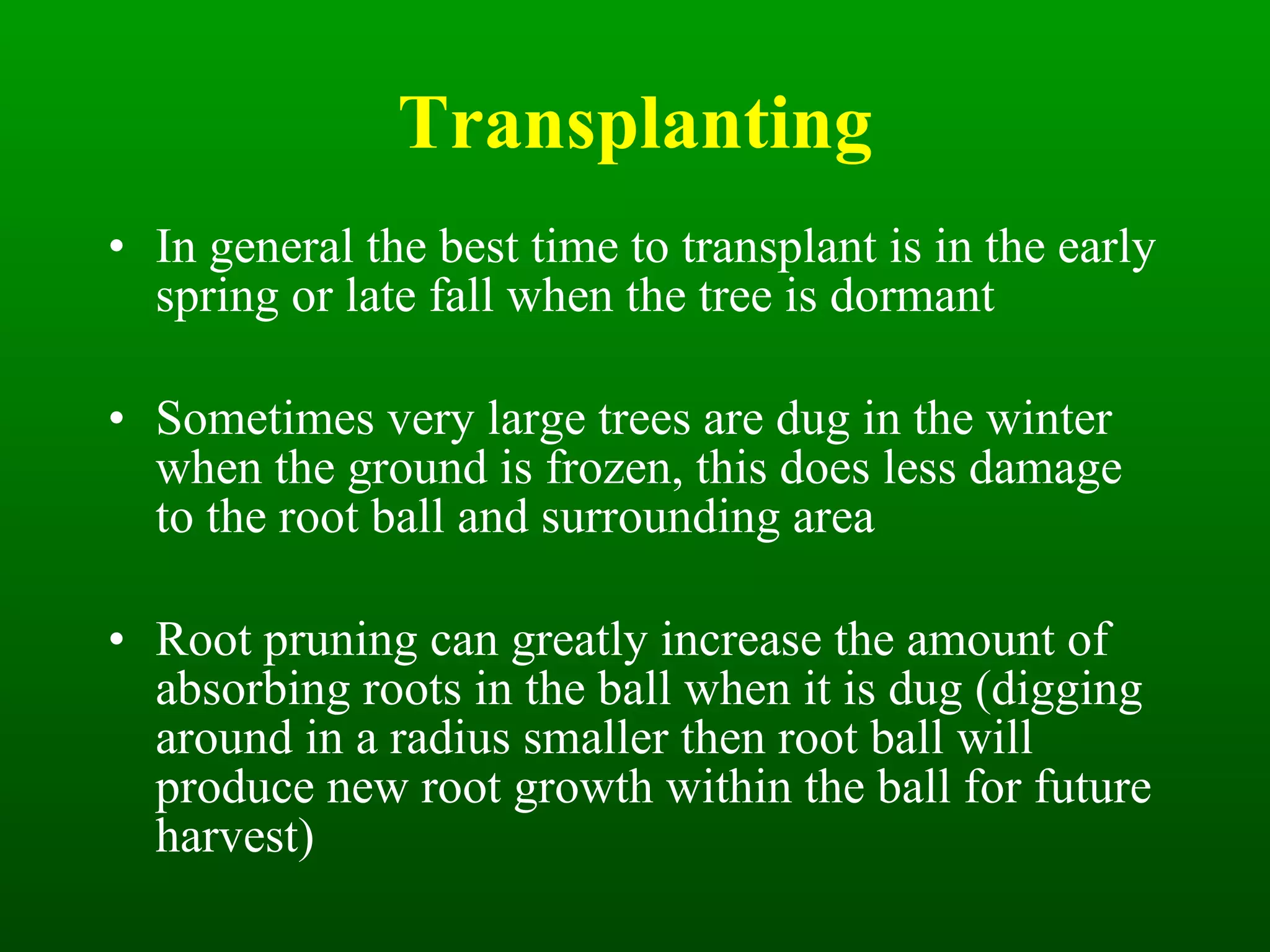 Transplanting In general the best time to transplant is in the early spring or late fall when the tree is dormant Sometimes very large trees are dug in the winter when the ground is frozen, this does less damage to the root ball and surrounding area Root pruning can greatly increase the amount of absorbing roots in the ball when it is dug (digging around in a radius smaller then root ball will produce new root growth within the ball for future harvest) 