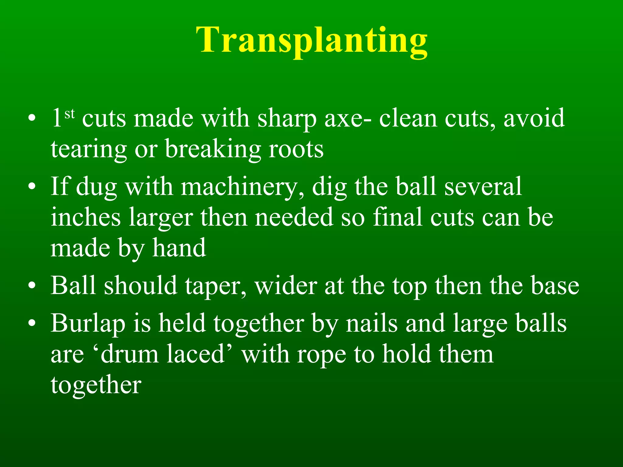 Transplanting 1 st  cuts made with sharp axe- clean cuts, avoid tearing or breaking roots If dug with machinery, dig the ball several inches larger then needed so final cuts can be made by hand Ball should taper, wider at the top then the base Burlap is held together by nails and large balls are ‘drum laced’ with rope to hold them together 