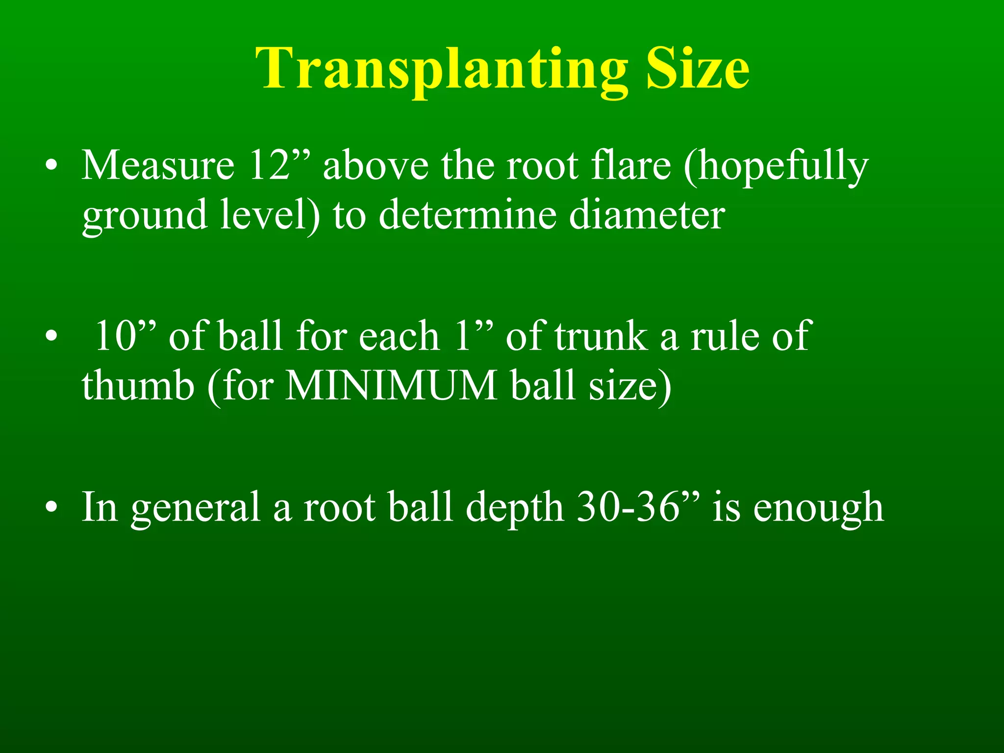 Transplanting Size Measure 12” above the root flare (hopefully ground level) to determine diameter 10” of ball for each 1” of trunk a rule of thumb (for MINIMUM ball size) In general a root ball depth 30-36” is enough 