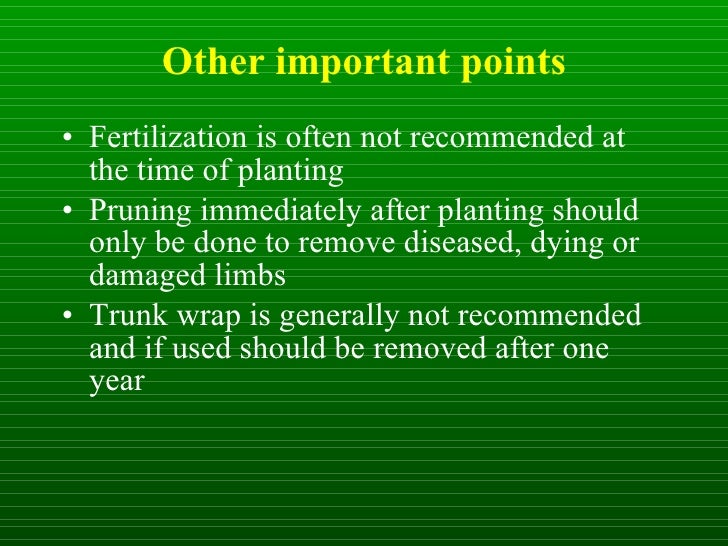 Importance of trees essay 200 words image