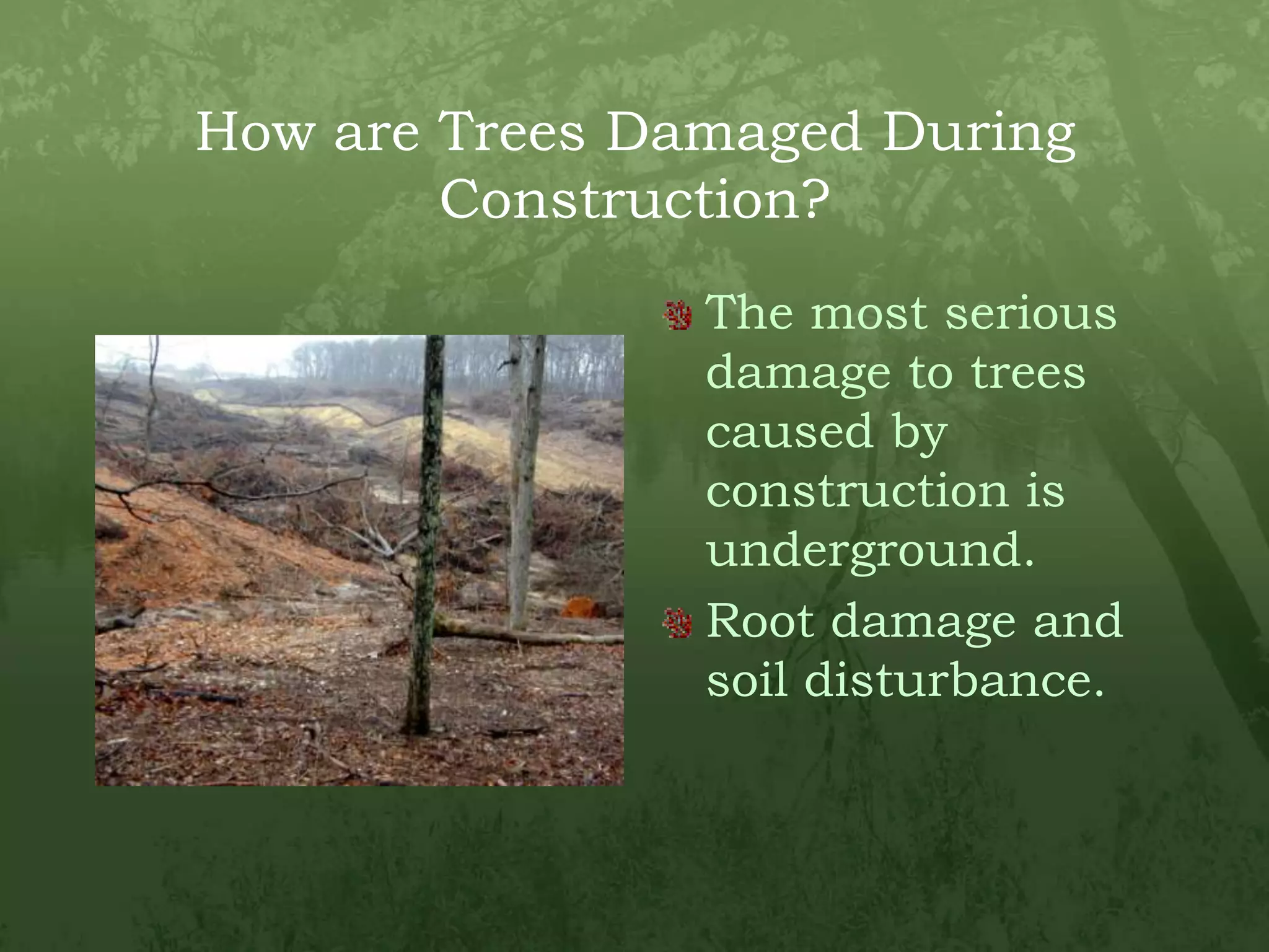 How are Trees Damaged During Construction?The most serious damage to trees caused by construction is underground.Root damage and soil disturbance.