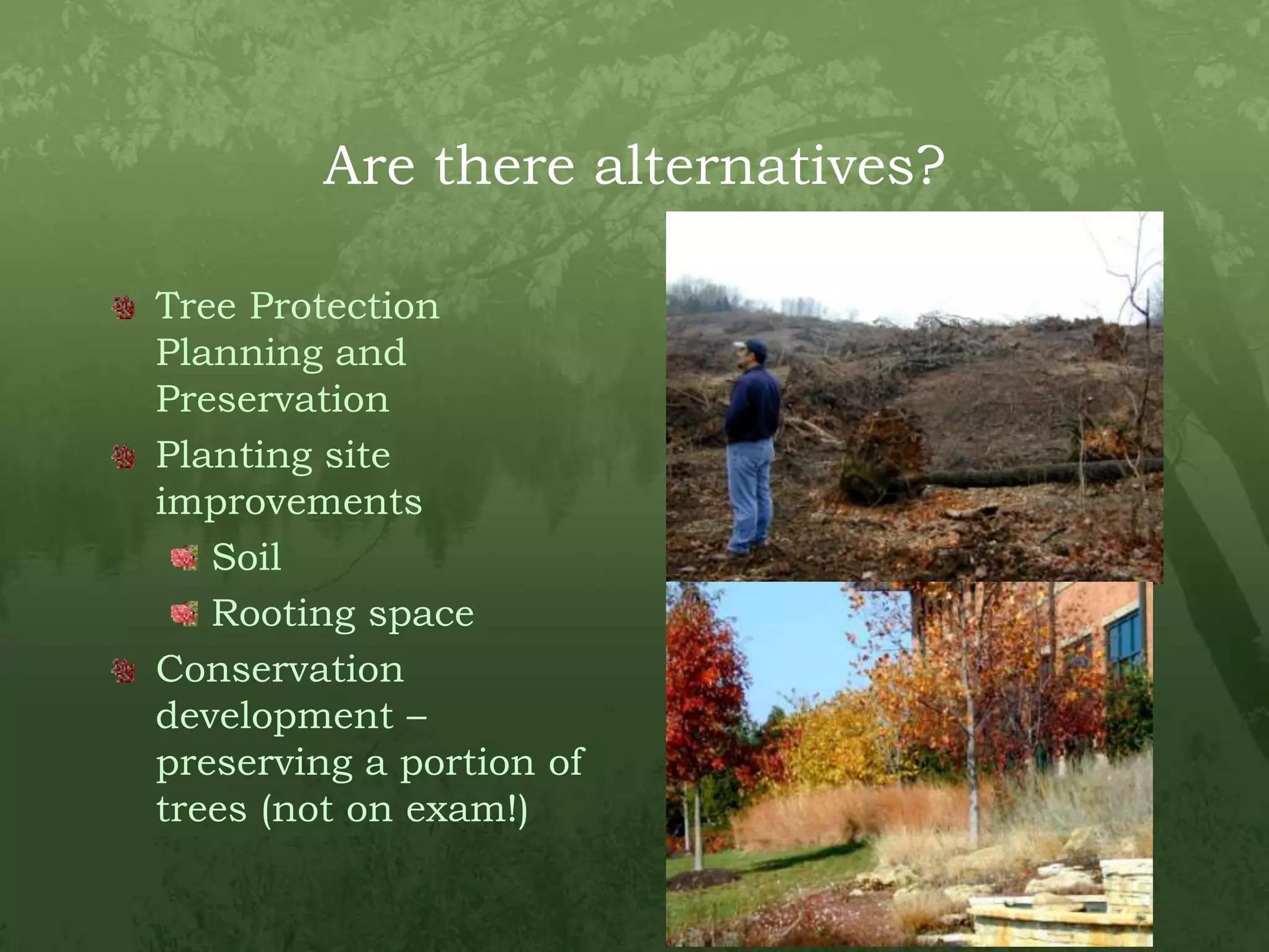 Are there alternatives?Tree Protection Planning and PreservationPlanting site improvementsSoilRooting spaceConservation development – preserving a portion of trees (not on exam!)