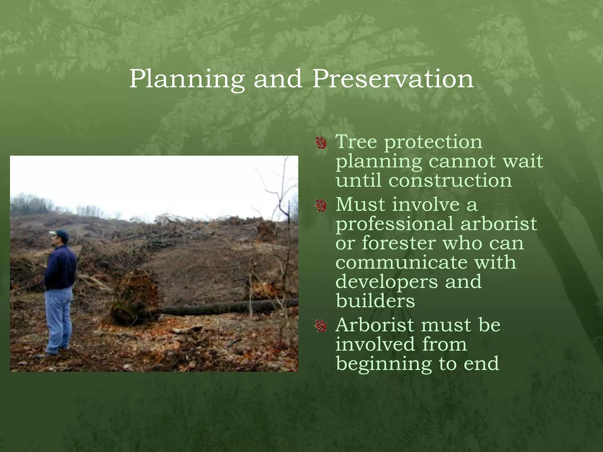 Planning and PreservationTree protection planning cannot wait until constructionMust involve a professional arborist or forester who can communicate with developers and buildersArborist must be involved from beginning to end