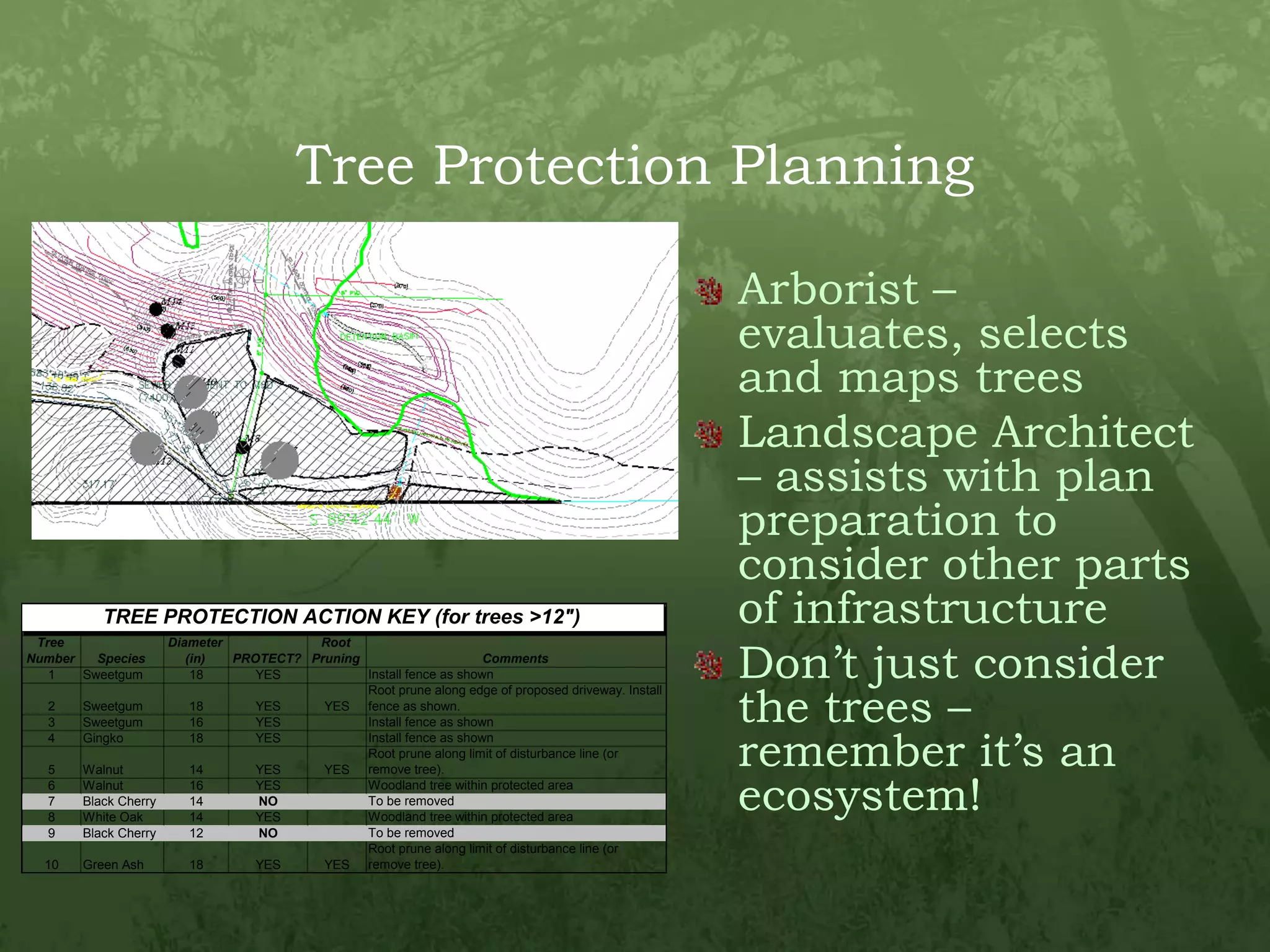 Tree Protection PlanningArborist – evaluates, selects and maps treesLandscape Architect – assists with plan preparation to consider other parts of infrastructureDon’t just consider the trees – remember it’s an ecosystem!