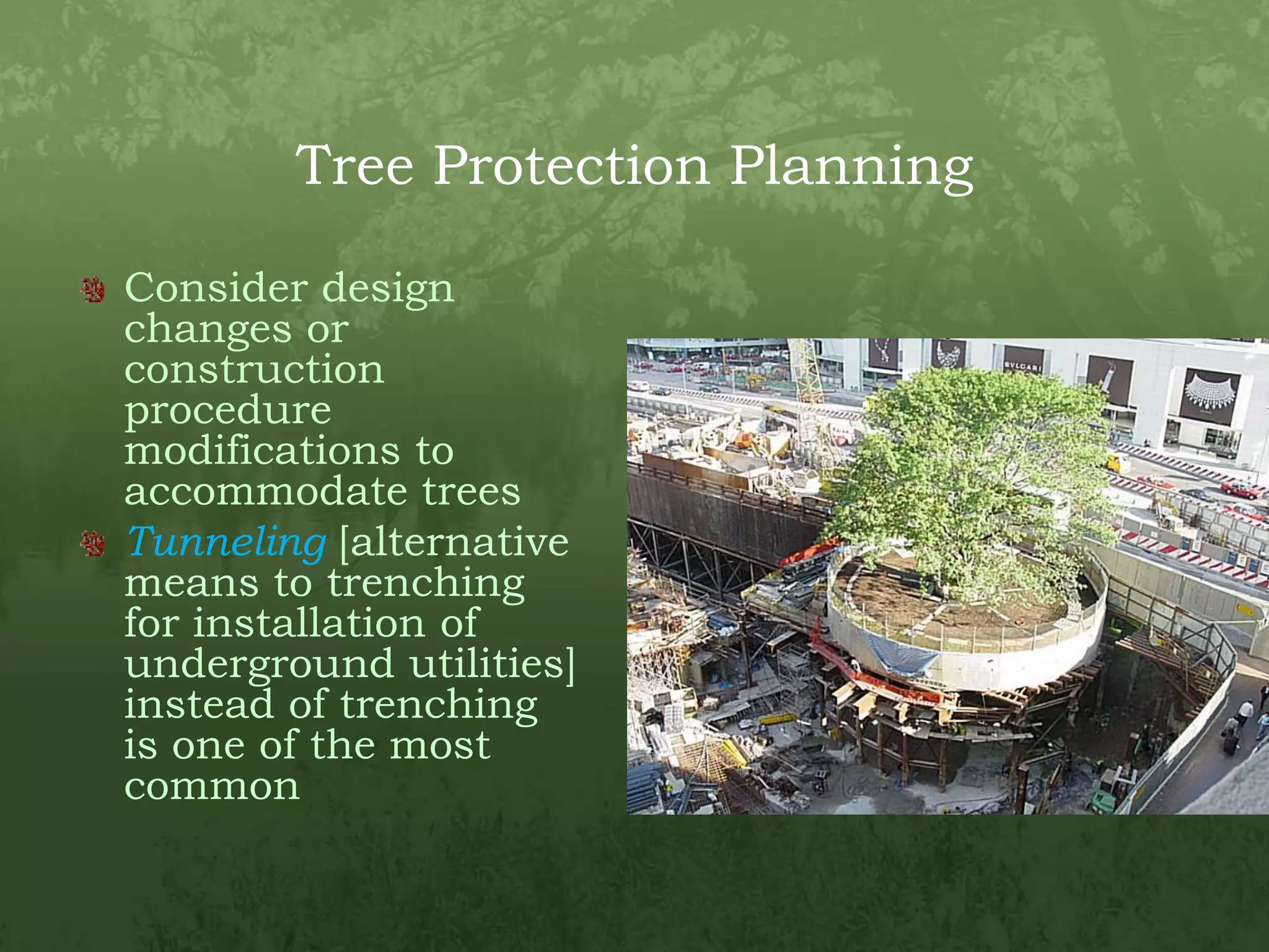 Tree Protection PlanningConsider design changes or construction procedure modifications to accommodate treesTunneling [alternative means to trenching for installation of underground utilities] instead of trenching is one of the most common