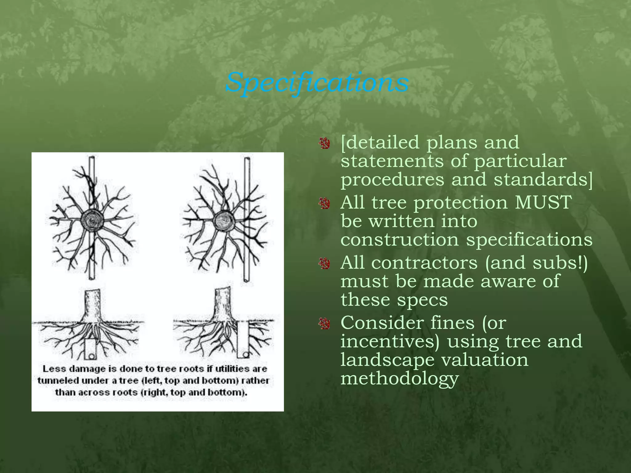 Specifications[detailed plans and statements of particular procedures and standards]All tree protection MUST be written into construction specificationsAll contractors (and subs!) must be made aware of these specsConsider fines (or incentives) using tree and landscape valuation methodology