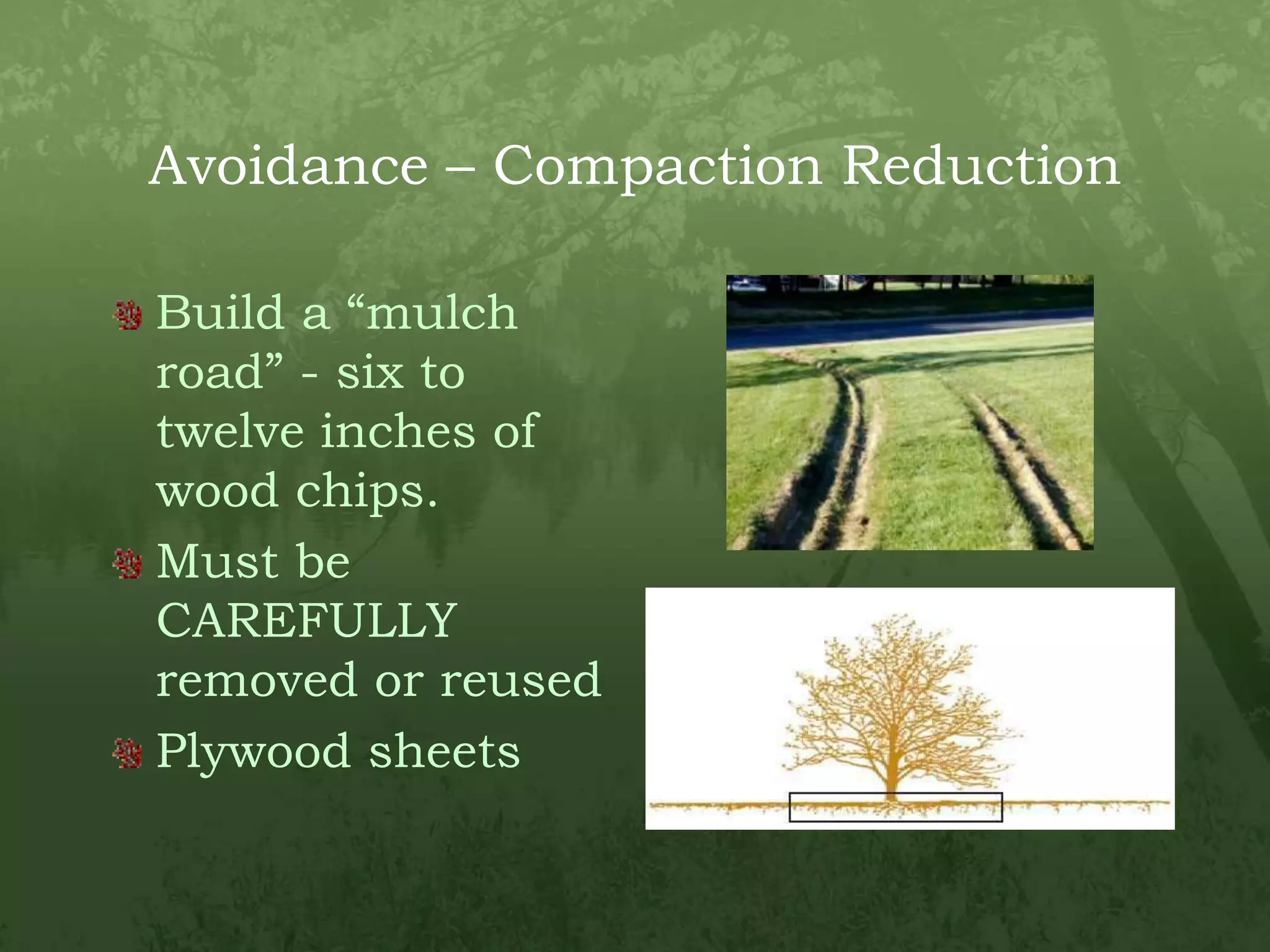 Avoidance – Compaction ReductionBuild a “mulch road” - six to twelve inches of wood chips.Must be CAREFULLY removed or reusedPlywood sheets