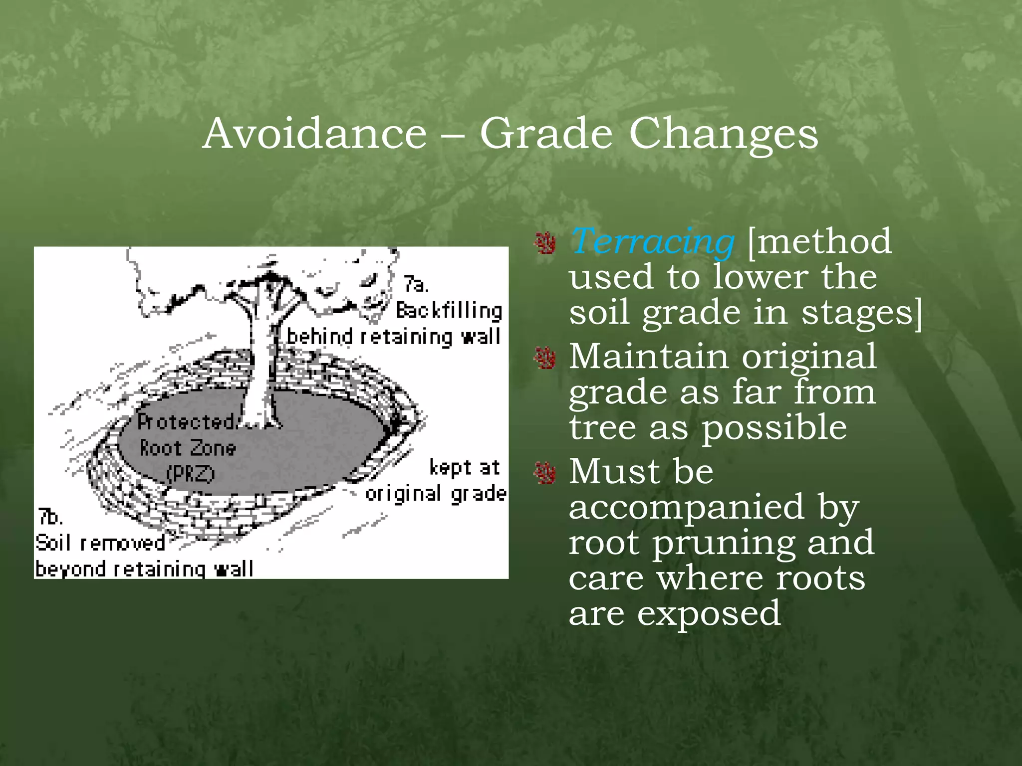 Avoidance – Grade ChangesTerracing[method used to lower the soil grade in stages]Maintain original grade as far from tree as possibleMust be accompanied by root pruning and care where roots are exposed