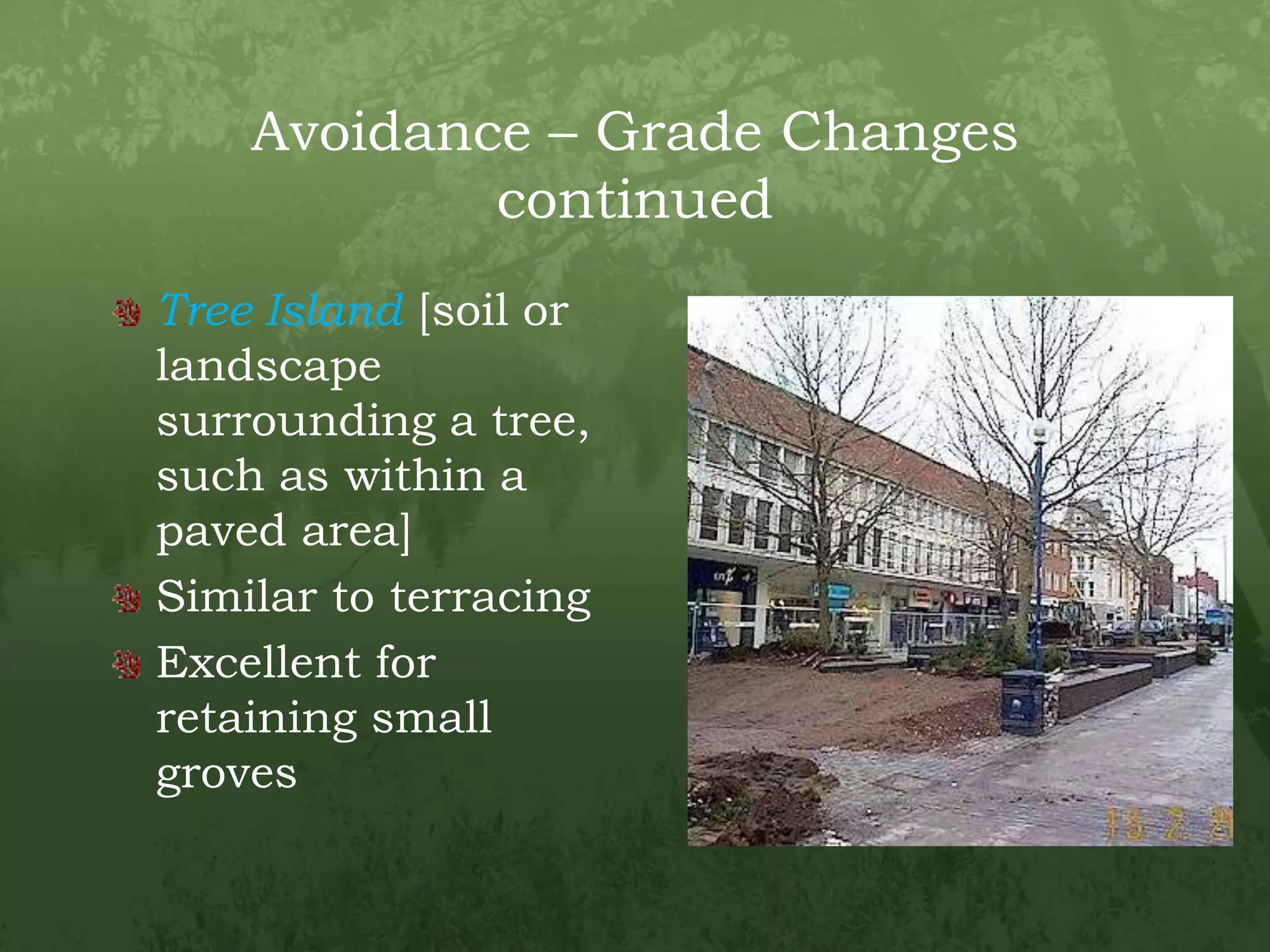 Avoidance – Grade Changes continuedTree Island[soil or landscape surrounding a tree, such as within a paved area]Similar to terracingExcellent for retaining small groves