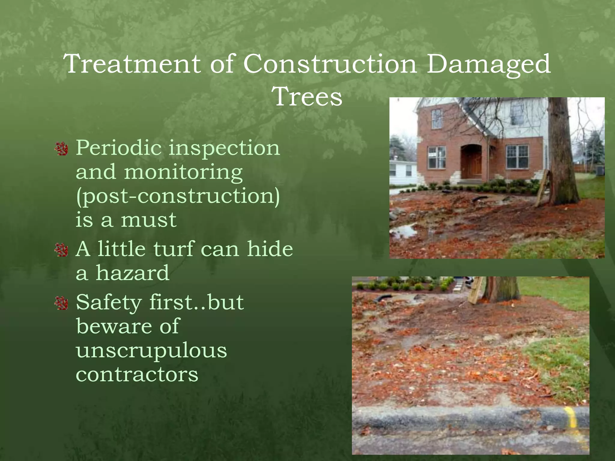 Treatment of Construction Damaged TreesPeriodic inspection and monitoring (post-construction) is a mustA little turf can hide a hazardSafety first..but beware of unscrupulous contractors