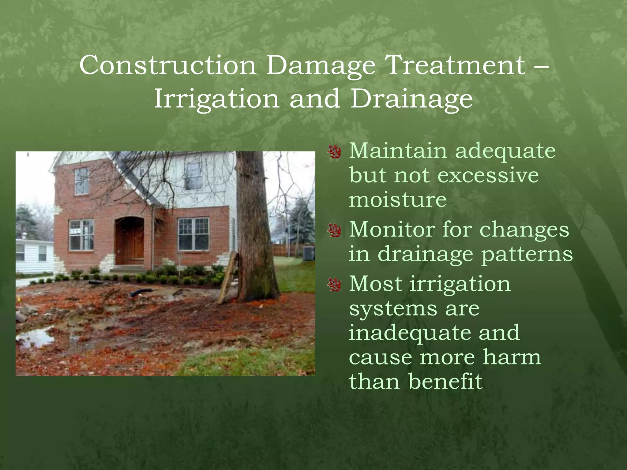 Construction Damage Treatment – Irrigation and DrainageMaintain adequate but not excessive moistureMonitor for changes in drainage patternsMost irrigation systems are inadequate and cause more harm than benefit