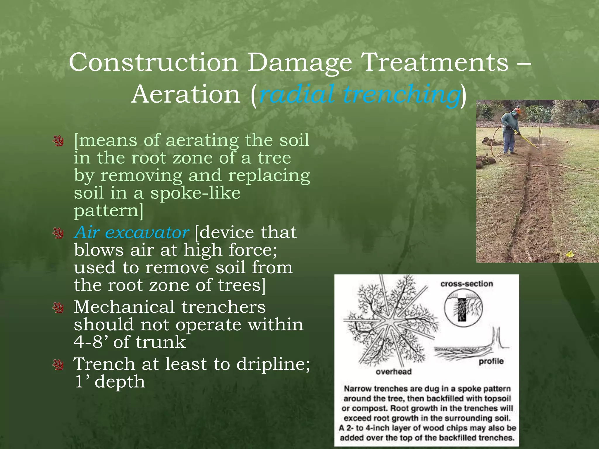 Construction Damage Treatments – Aeration (radial trenching)[means of aerating the soil in the root zone of a tree by removing and replacing soil in a spoke-like pattern]Air excavator [device that blows air at high force; used to remove soil from the root zone of trees]Mechanical trenchers should not operate within 4-8’ of trunkTrench at least to dripline; 1’ depth