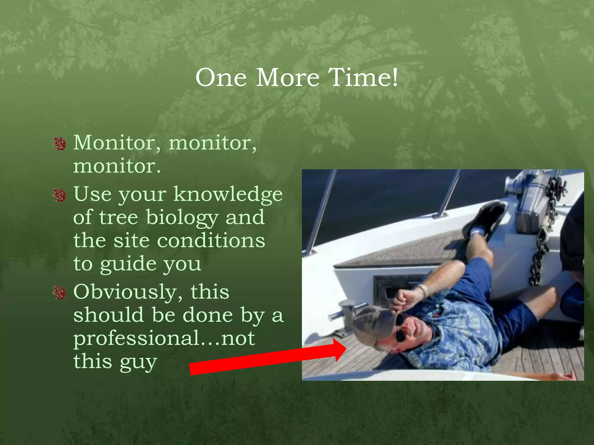 One More Time!Monitor, monitor, monitor.Use your knowledge of tree biology and the site conditions to guide youObviously, this should be done by a professional…not this guy