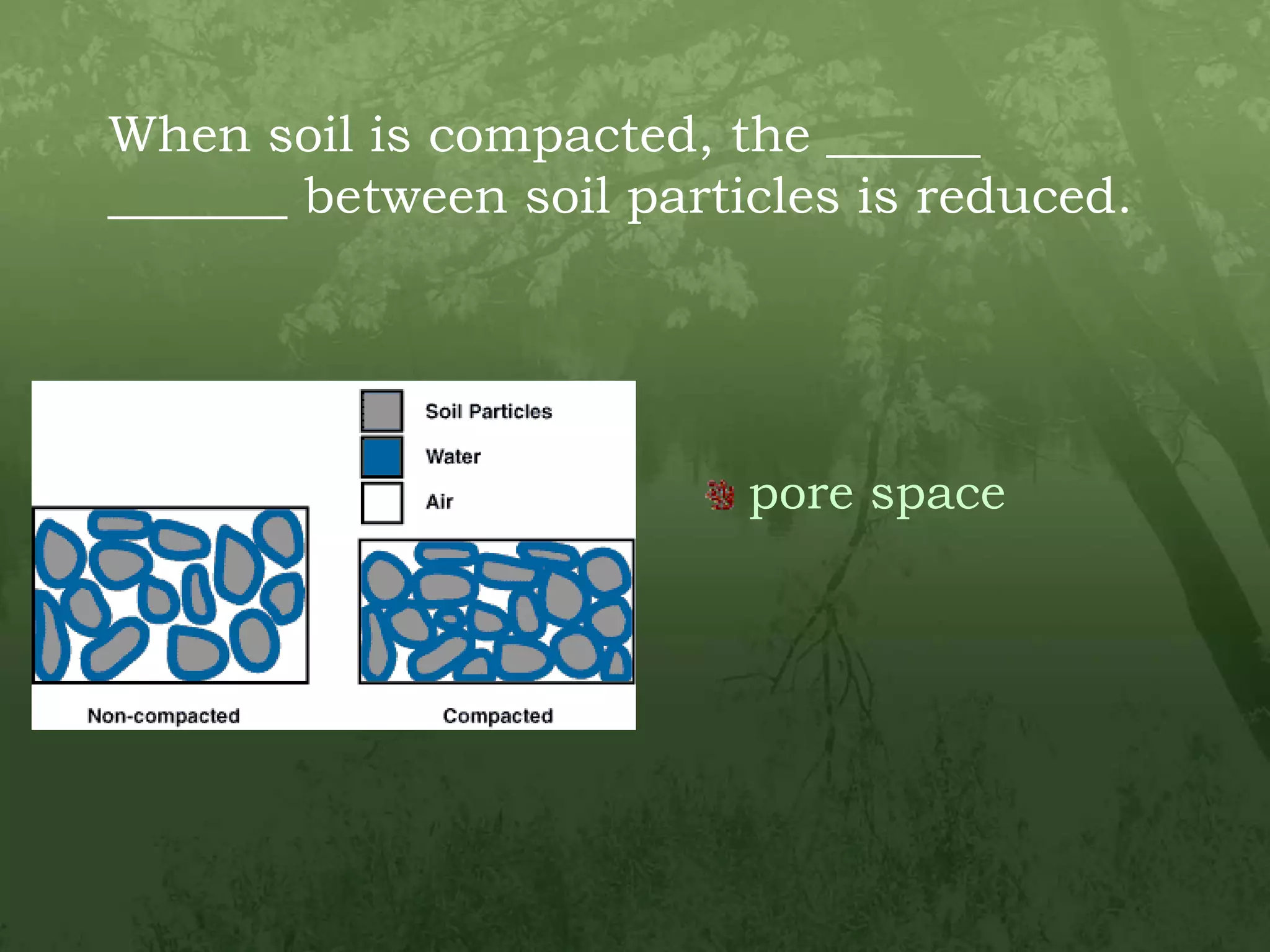 When soil is compacted, the ______ _______ between soil particles is reduced.pore space