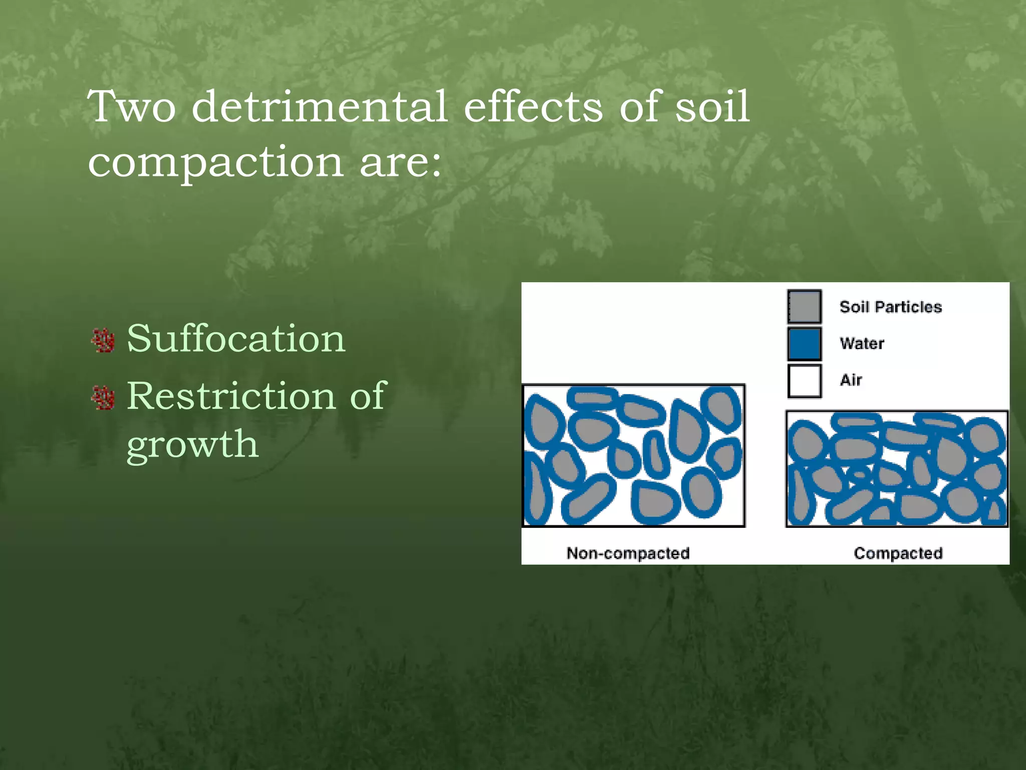 Two detrimental effects of soil compaction are:SuffocationRestriction of growth