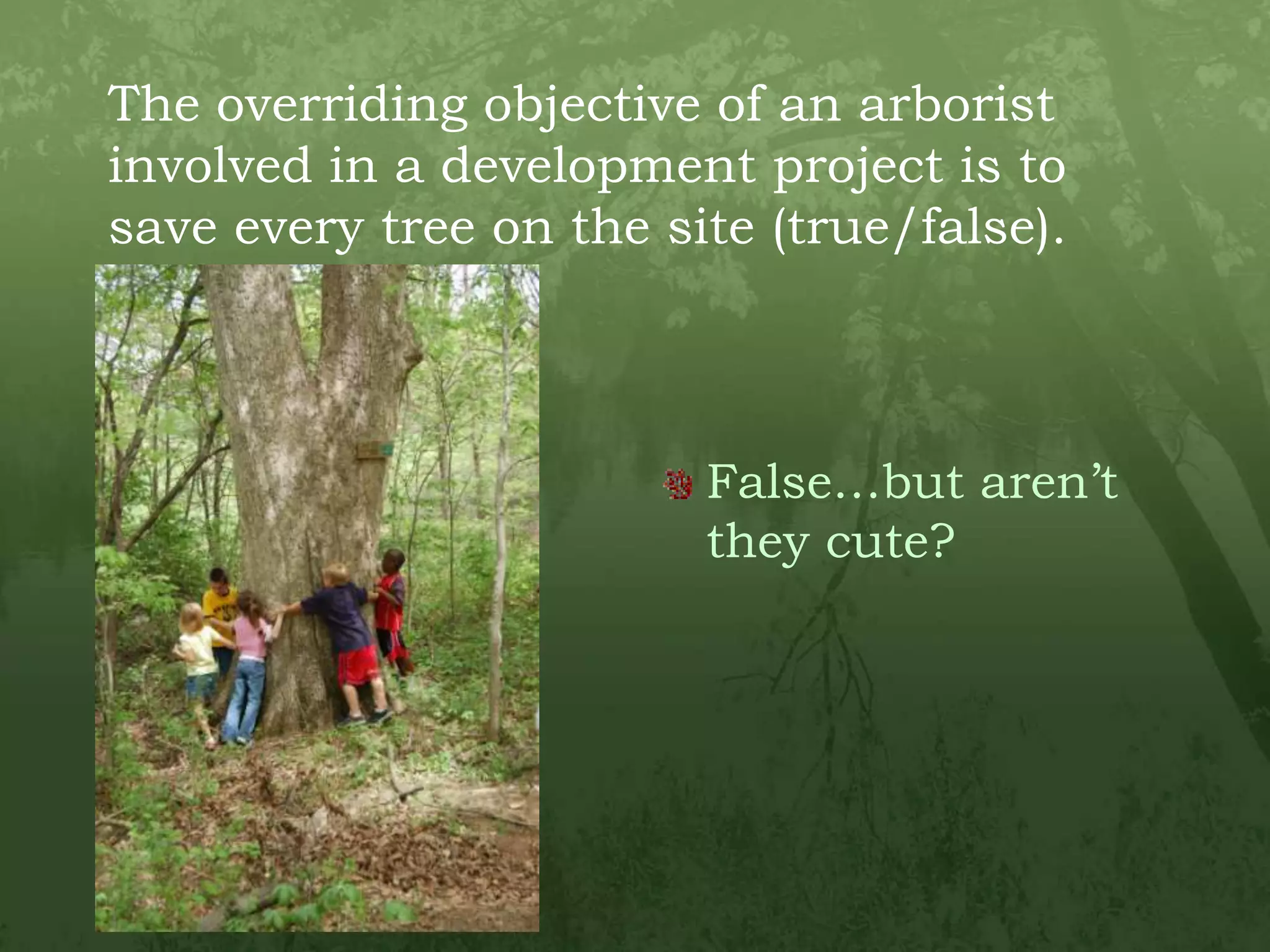 The overriding objective of an arborist involved in a development project is to save every tree on the site (true/false).False…but aren’t they cute?