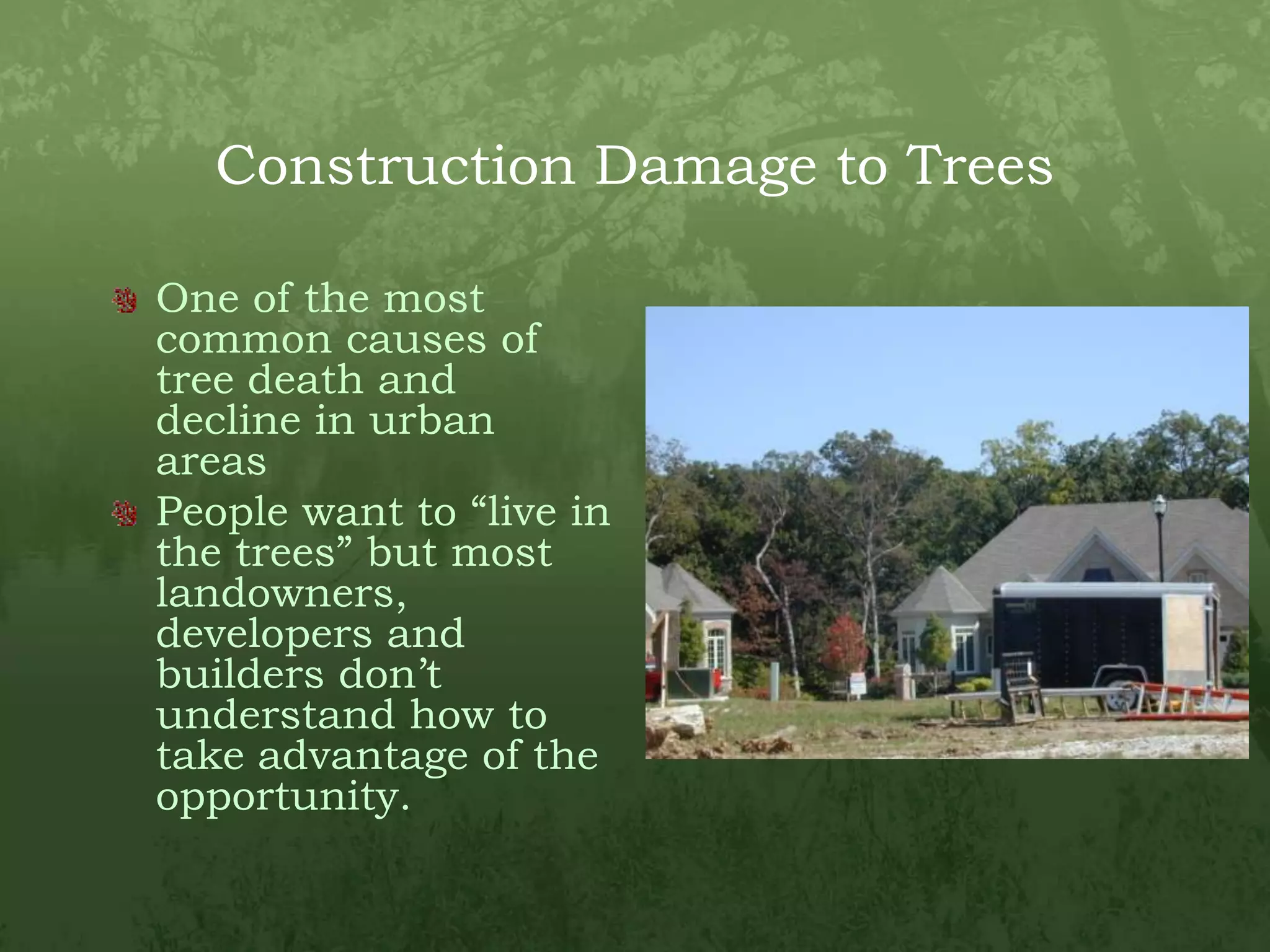 Construction Damage to TreesOne of the most common causes of tree death and decline in urban areasPeople want to “live in the trees” but most landowners, developers and builders don’t understand how to take advantage of the opportunity.