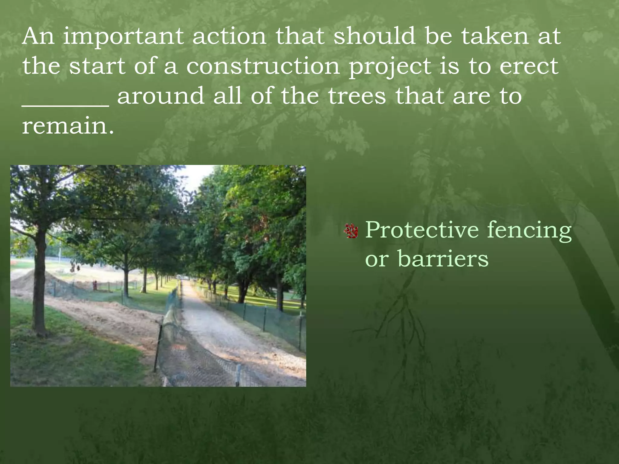 An important action that should be taken at the start of a construction project is to erect _______ around all of the trees that are to remain.Protective fencing or barriers
