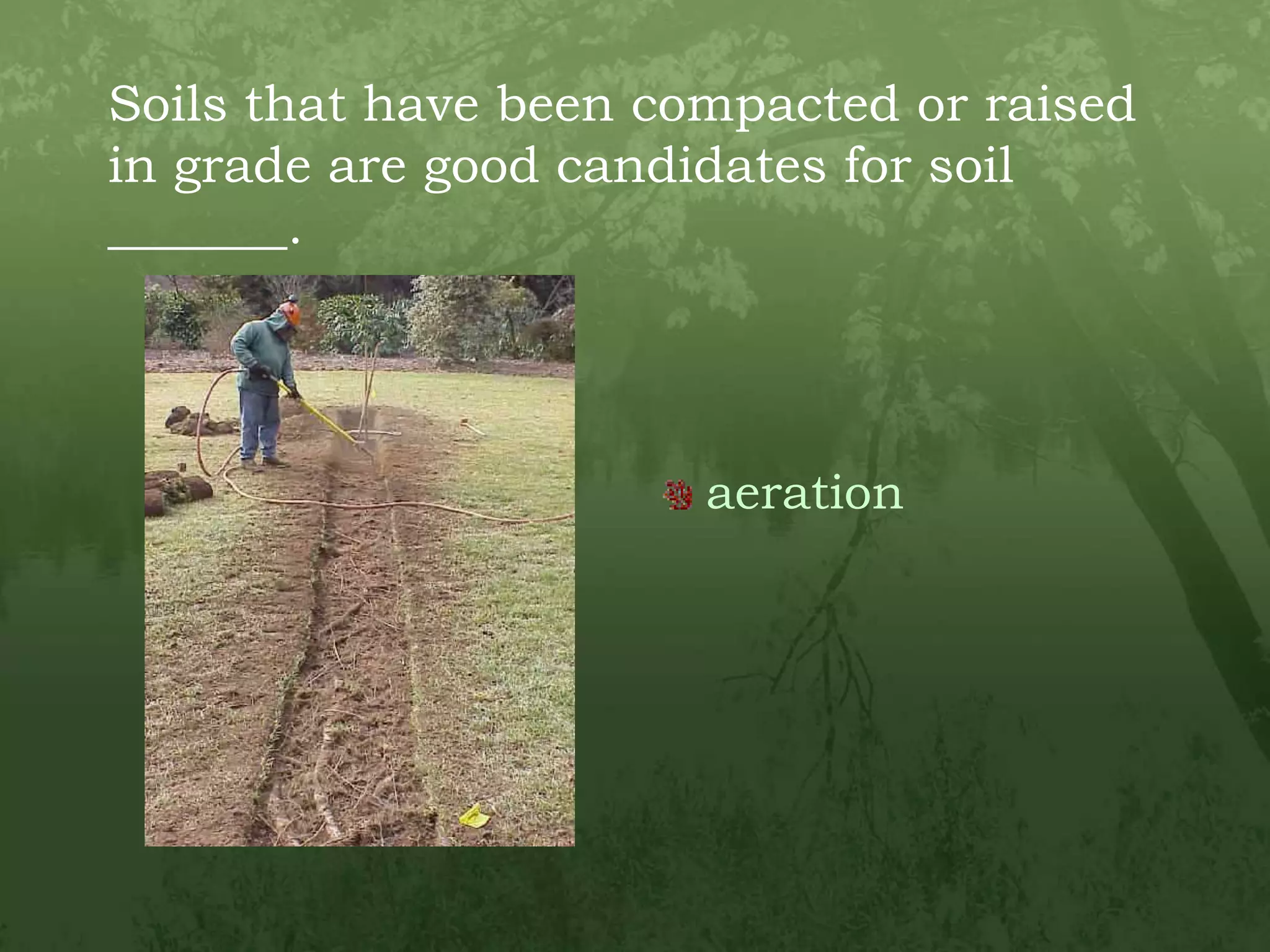 Soils that have been compacted or raised in grade are good candidates for soil _______.aeration