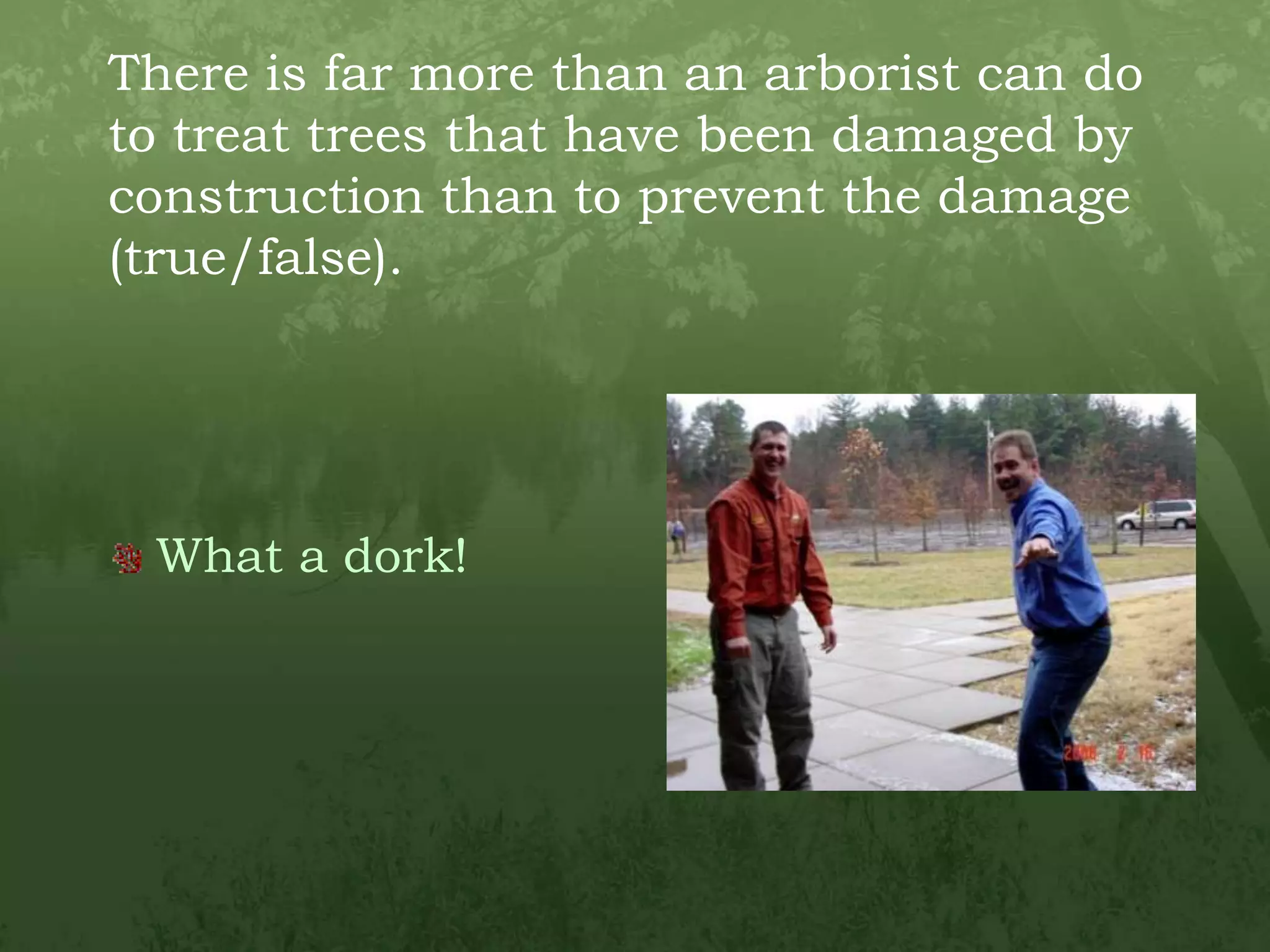There is far more than an arborist can do to treat trees that have been damaged by construction than to prevent the damage (true/false).What a dork!