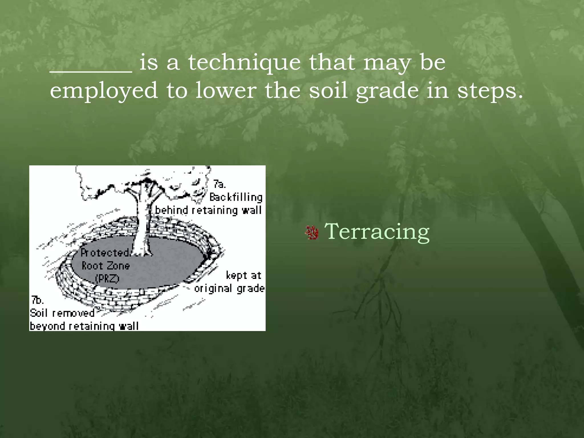 _______ is a technique that may be employed to lower the soil grade in steps.Terracing