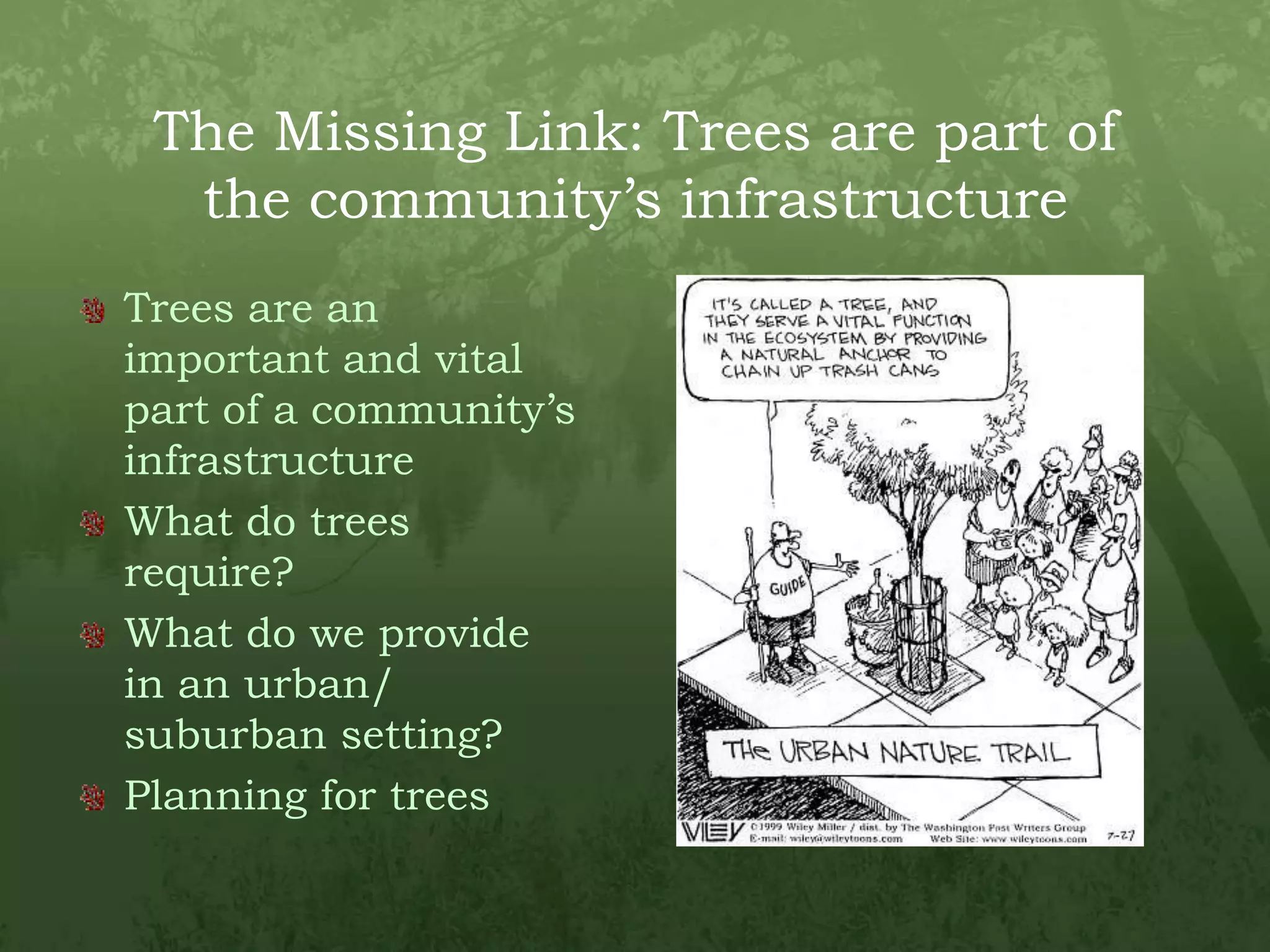 The Missing Link: Trees are part of the community’s infrastructureTrees are an important and vital part of a community’s infrastructureWhat do trees require?What do we provide in an urban/ suburban setting?Planning for trees