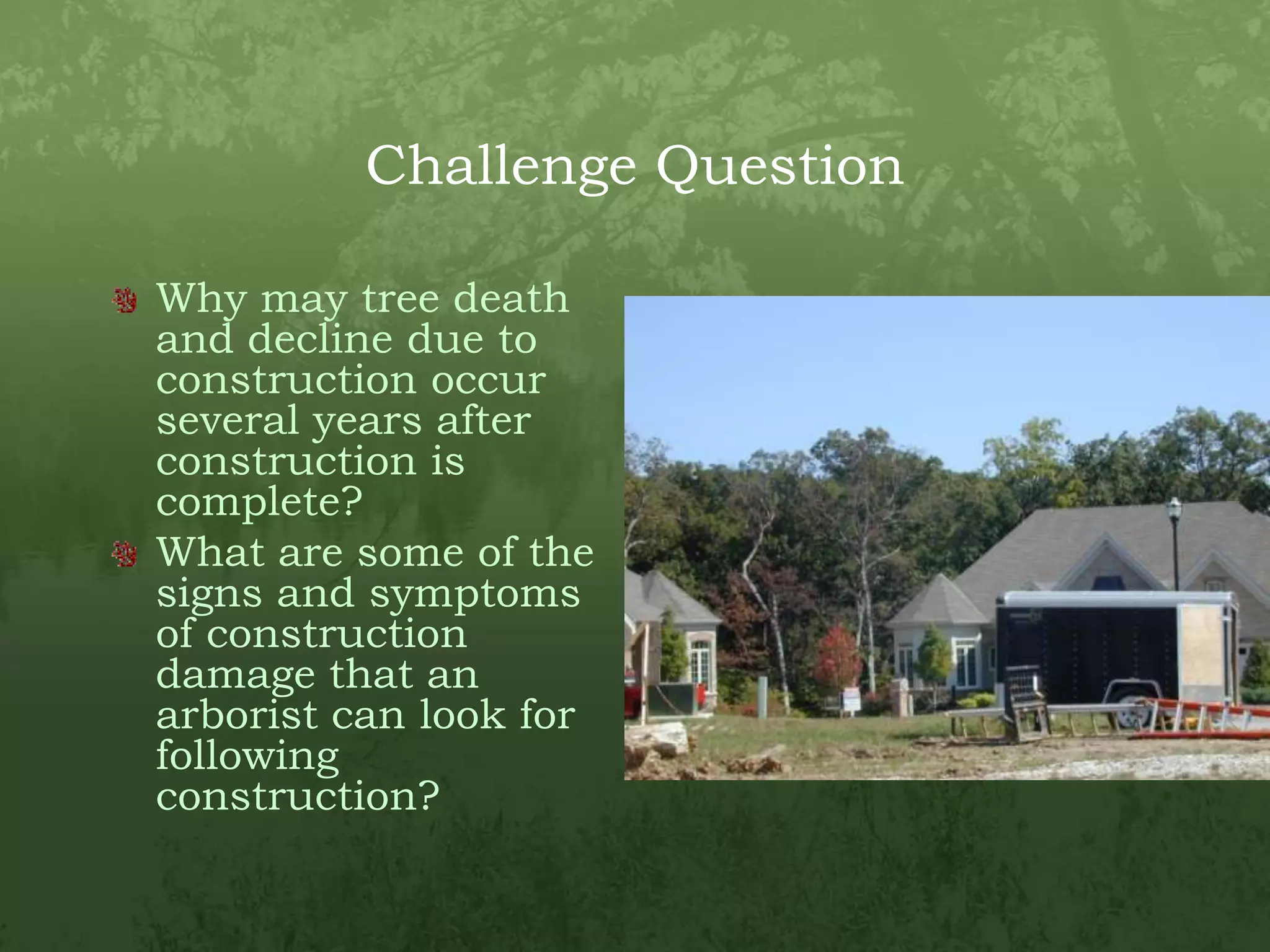 Challenge QuestionWhy may tree death and decline due to construction occur several years after construction is complete? What are some of the signs and symptoms of construction damage that an arborist can look for following construction?