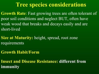 Tree species considerations Growth Rate :  Fast growing trees are often tolerant of poor soil conditions and neglect BUT, often have weak wood that breaks and decays easily and are short-lived Size at Maturity:  height, spread, root zone requirements Growth Habit/Form Insect and Disease Resistance:  different from immunity 