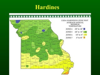 Hardines s 