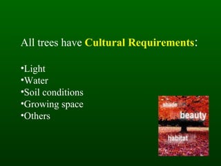 All trees have  Cultural Requirements : Light  Water  Soil conditions Growing space Others 