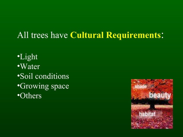 Isa tree selection 1 | PPT