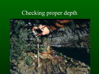 Checking proper depth 