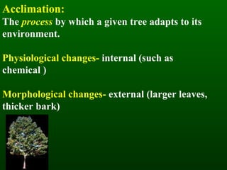 Acclimation: The  process   by which a given tree adapts to its environment. Physiological changes-  internal (such as chemical )  Morphological changes-  external (larger leaves, thicker bark) 