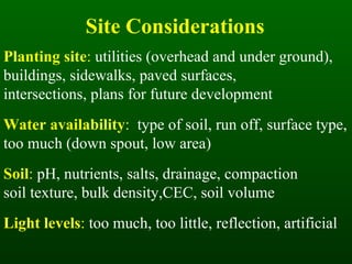 Site Considerations Planting site :  utilities (overhead and under ground),  buildings, sidewalks, paved surfaces, intersections, plans for future development Water availability :   type of soil, run off, surface type, too much (down spout, low area) Soil :  pH, nutrients, salts, drainage, compaction soil texture, bulk density,CEC, soil volume Light levels :  too much, too little, reflection, artificial 