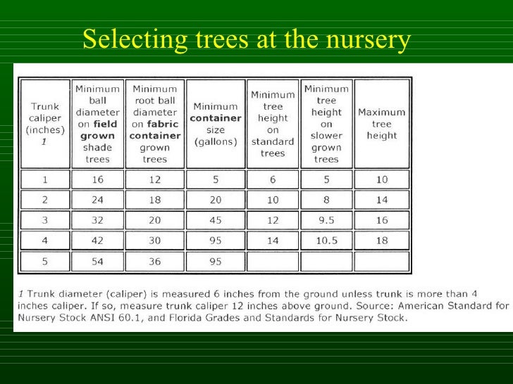Isa tree selection 1