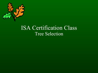 ISA Certification Class Tree Selection 