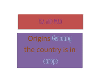 ISA AND PALO
Origins Germany
the country is in
europe
 