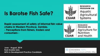 Is Barotse Fish Safe?
Rapid assessment of safety of informal fish value
chains in Western Province, Zambia.
- Perceptions from fishers, traders and
consumers -
June - August, 2014
Raúl Andrés Soto
MPA in Development Practice Candidate
 