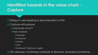 Is Barotse fish safe? Rapid assessment of safety of informal fish value chains in Western Province, Zambia