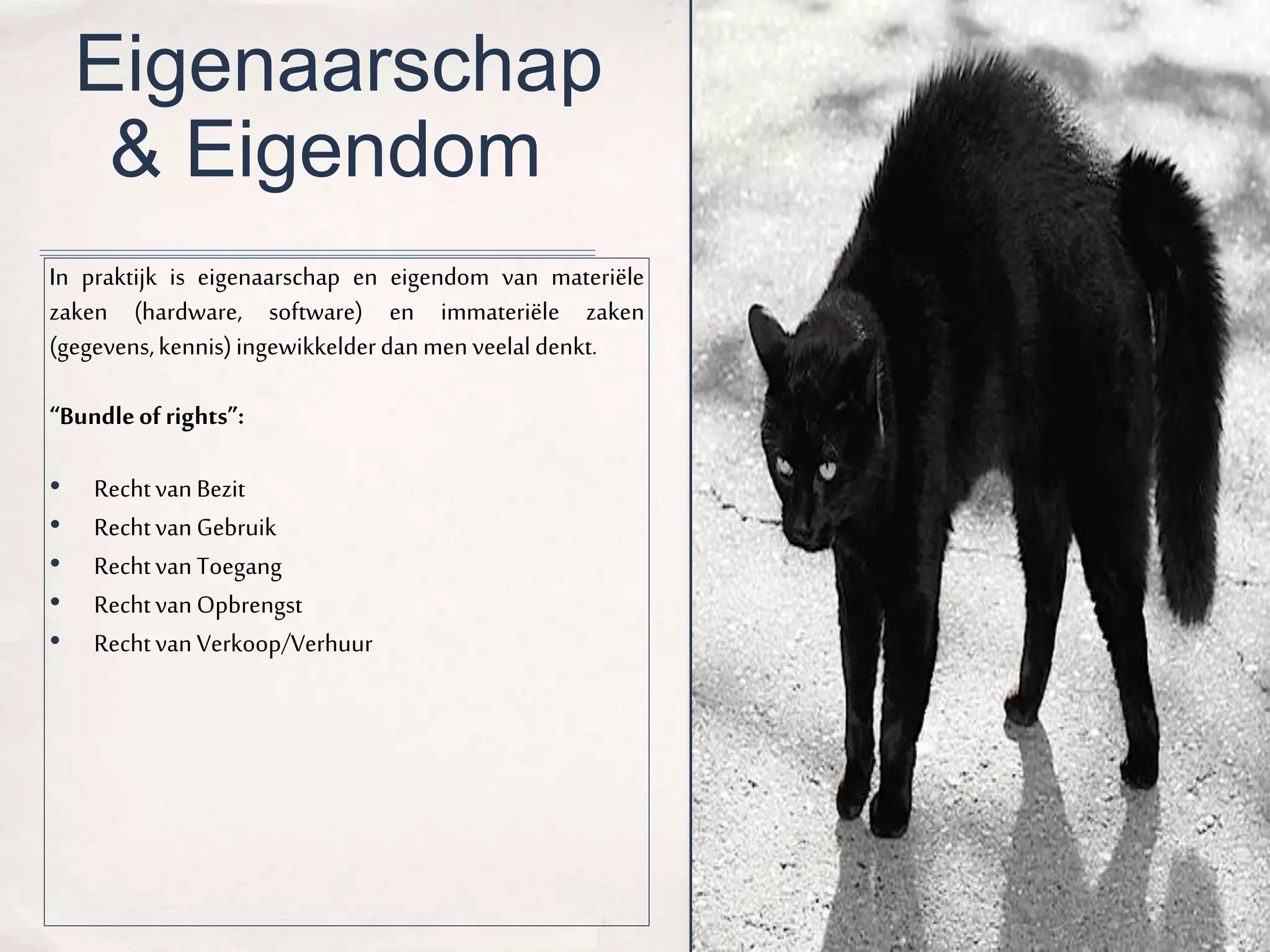 Eigenaarschap 
& Eigendom 
In praktijk is eigenaarschap en eigendom van materiële 
zaken (hardware, software) en immateriële zaken 
(gegevens, kennis) ingewikkelder dan men veelal denkt. 
“Bundle of rights”: 
• Recht van Bezit 
• Recht van Gebruik 
• Recht van Toegang 
• Recht van Opbrengst 
• Recht van Verkoop/Verhuur 
 