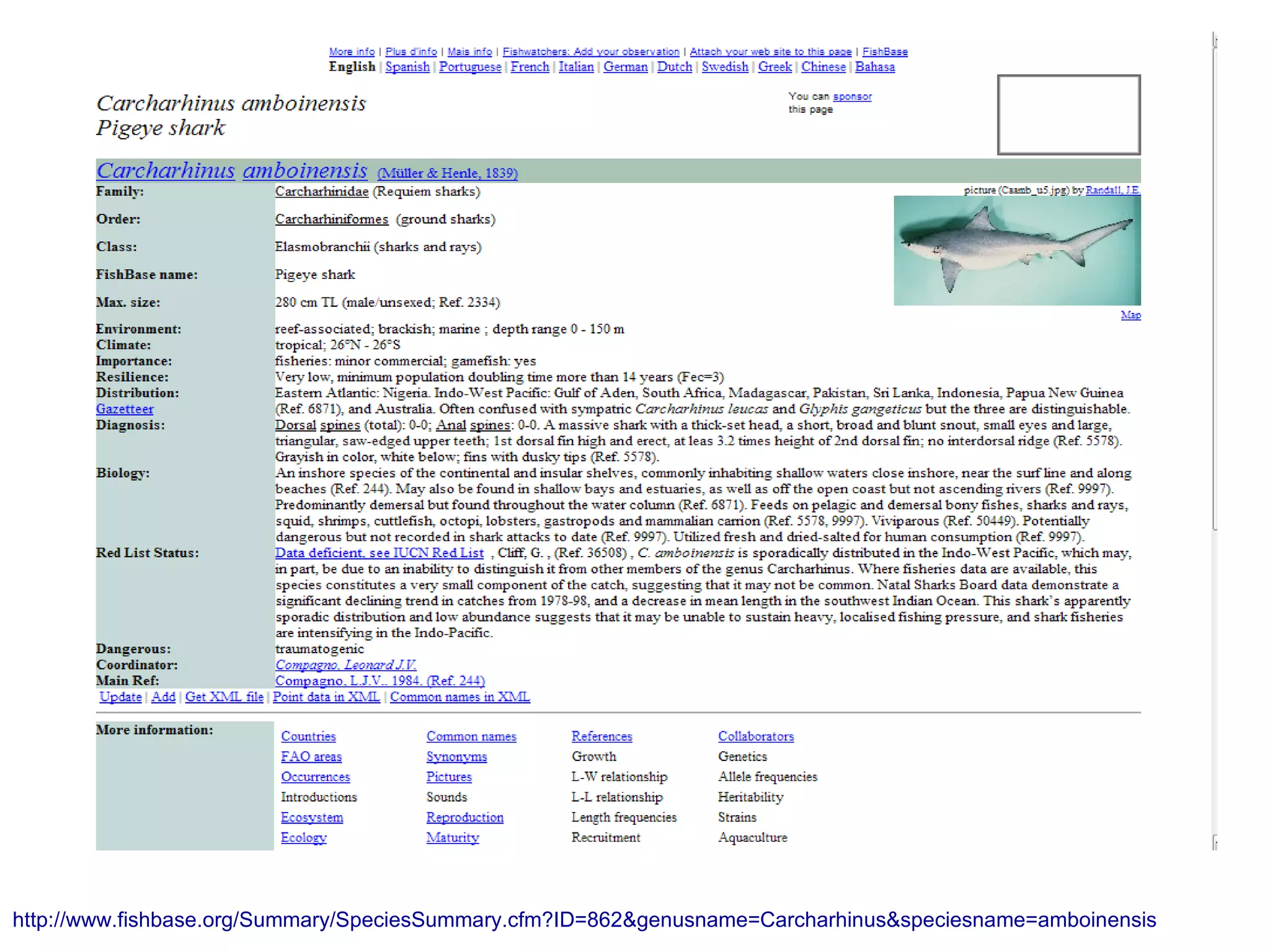 http://www.fishbase.org/Summary/SpeciesSummary.cfm?ID=862&genusname=Carcharhinus&speciesname=amboinensis
 