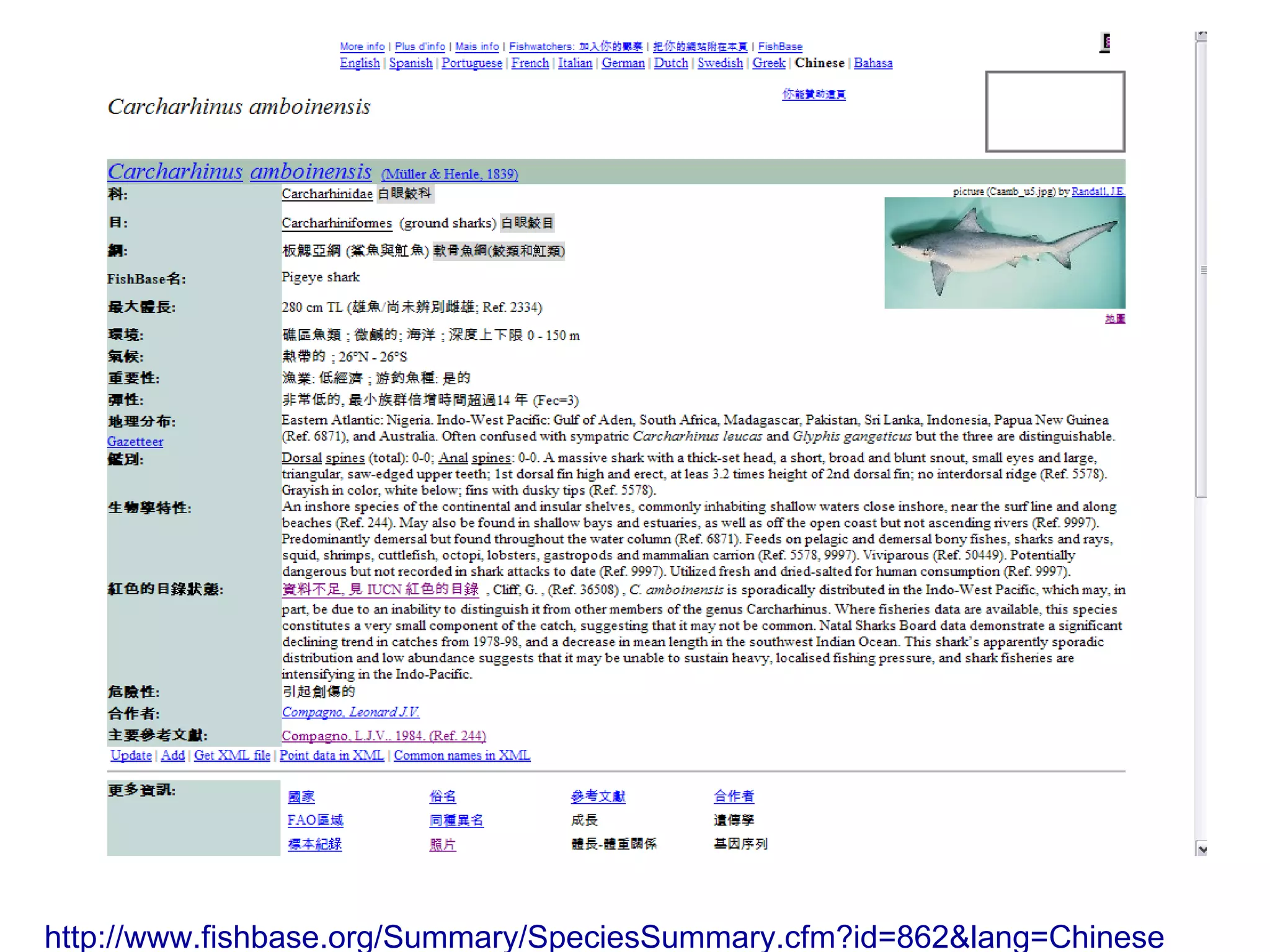 http://www.fishbase.org/Summary/SpeciesSummary.cfm?id=862&lang=Chinese
 