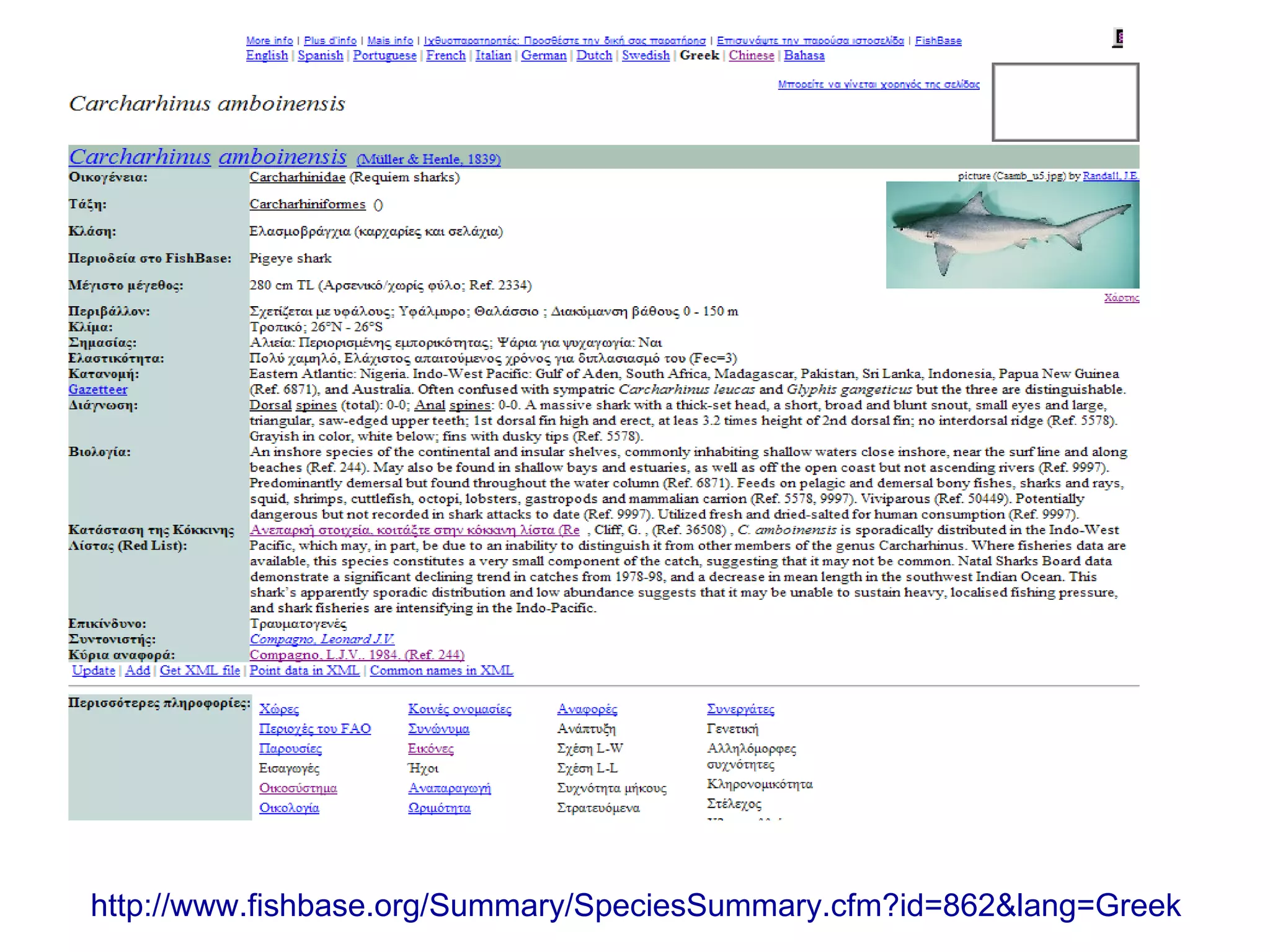 http://www.fishbase.org/Summary/SpeciesSummary.cfm?id=862&lang=Greek
 