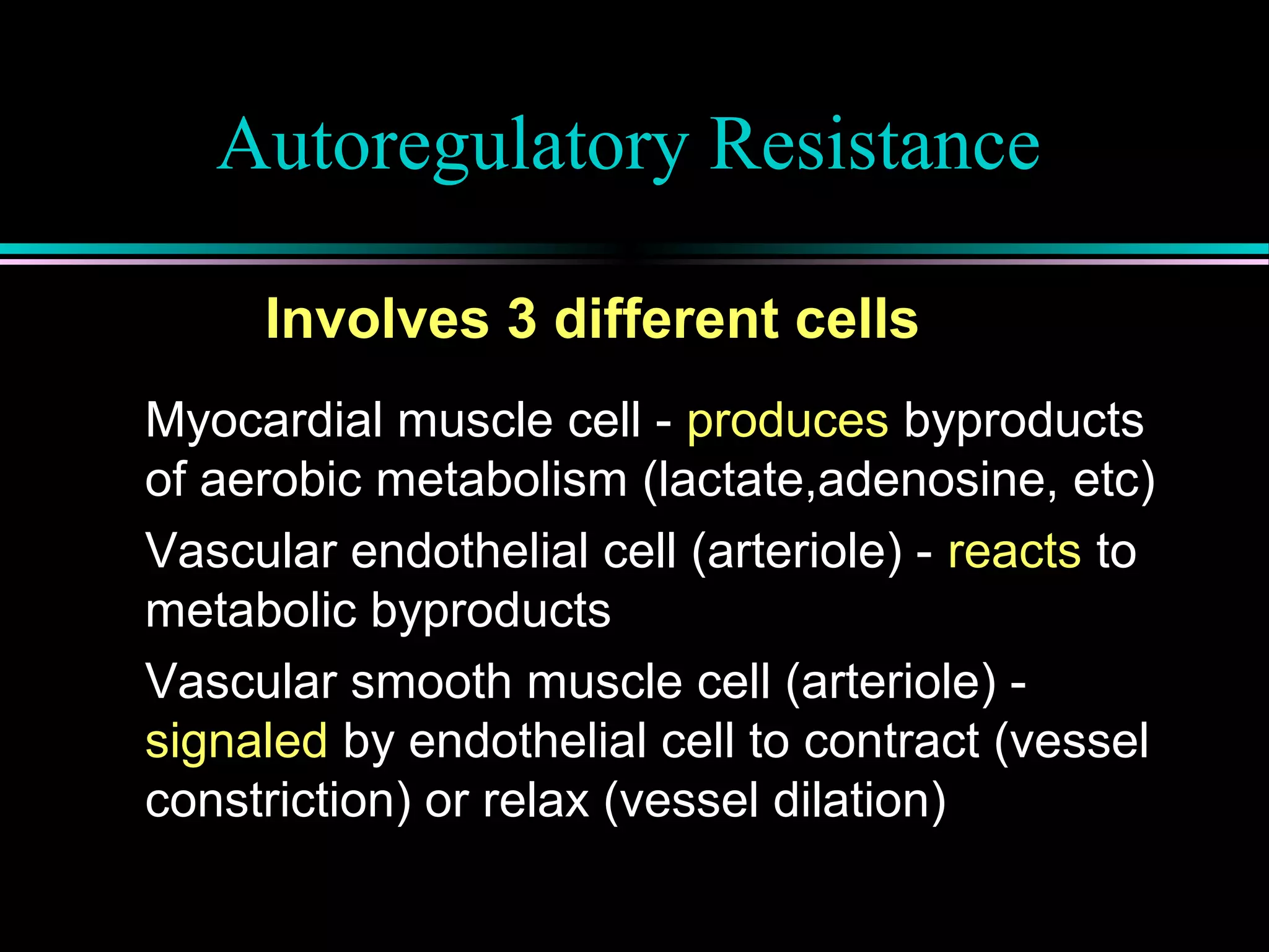 Autoregulatory Resistance
Myocardial muscle cell - produces byproducts
of aerobic metabolism (lactate,adenosine, etc)
Vascular endothelial cell (arteriole) - reacts to
metabolic byproducts
Vascular smooth muscle cell (arteriole) -
signaled by endothelial cell to contract (vessel
constriction) or relax (vessel dilation)
Involves 3 different cells
 
